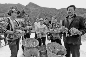 
　　8月5日，凉山供电公司在阿吼村开展阉鸡养殖竞赛。蒋志明 摄

　　2008年，按照四川省委省政府统一部署，国网四川省电力公司在乐山马边县和凉山喜德县启动精准扶贫帮扶工作