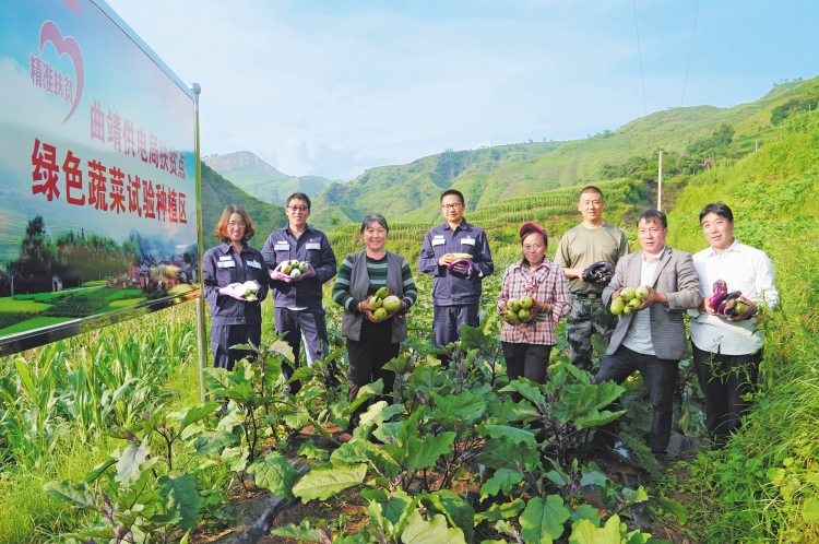 
　　留田村隸屬于云南省曲靖宣威市楊柳鎮(zhèn)，地處高山崇嶺中，村民賴以生存的耕地都在陡峭的山坡上，脫貧致富的夢(mèng)想更寄托在那里。自從今年3月份來到這里駐村扶貧后，云南電網(wǎng)曲靖供電局留田村第一書記李修權(quán)帶著蔡俊強(qiáng)和陳海云兩名扶貧工作隊(duì)員，和貧困戶們一起弄起了58畝的露天蔬菜基地，因地制宜開展當(dāng)?shù)孛撠氈赂划a(chǎn)業(yè)