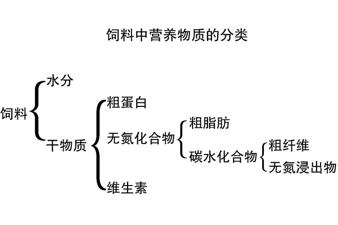 原標題：蝎子所需的營養(yǎng)物質(zhì)有哪些?            蝎子維持生命活動，進行新陳代謝，必須通過采食飼料從外界攝食多種營養(yǎng)物質(zhì)。飼料中營養(yǎng)物質(zhì)的分類如下： 蝎子所需的營養(yǎng)物質(zhì)有哪些? 由此可見，蝎子從飼料中攝入的主要營養(yǎng)物質(zhì)為:水、蛋白質(zhì)、脂肪、碳水化合物、礦物質(zhì)和維生素