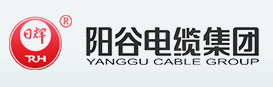 山東陽谷電纜集團有限公司