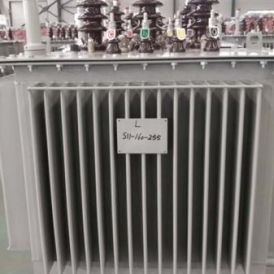 S11-160KVA油浸式变压器